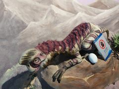 -安徽省地质博物馆