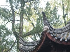 -天一阁博物院