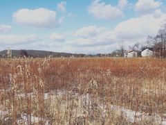 -钏路市丹顶鹤自然公园