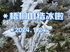 -梧桐山风景名胜区