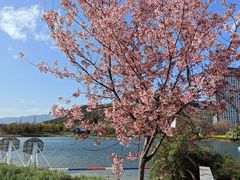 -月亮湾湿地公园