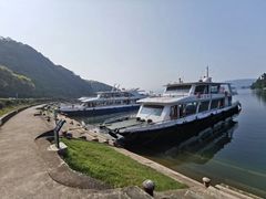-千岛湖龙川湾