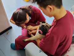 -瑞鹏宠物医院·爱宠堂·骨外专科(西荷分院)