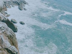 -广东惠东海龟国家级自然保护区