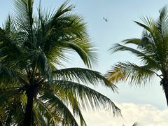 -福田红树林生态公园