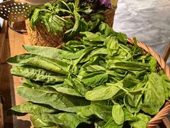 -一朵菌·野生菌探索家火锅(南亚店)