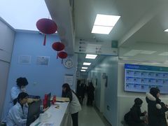 -中国农业大学动物医院