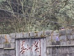 -娄山关景区
