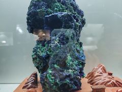 -甘肃地质博物馆