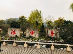 -香雪海