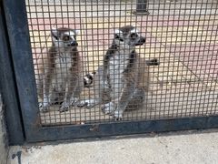 -石家庄市动物园