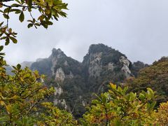 -王顺山国家森林公园