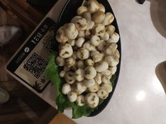 -狐狸爱上椰子鸡(滨江星光大道店)