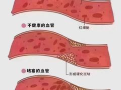 -泰煌鸡·上海白斩鸡·鸡汤面(万航店)