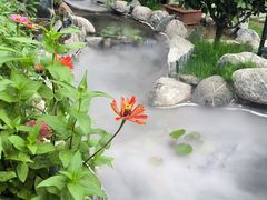 -蘇河湾·新鲁菜·泰山宴(泰山店)