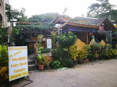 -Jungle Kitchen