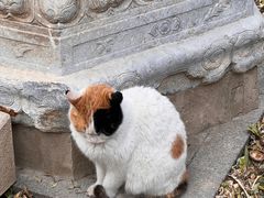 -北京石刻艺术博物馆(五塔寺)