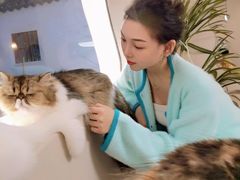 -More Fun猫咖 二十只万元加菲主题