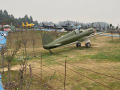 -空港花田景区