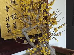 -无锡梅园公园