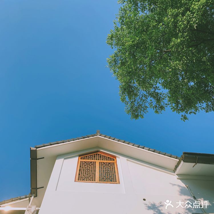 杭州小众景点｜名山名村名茶——龙井村