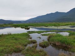 -腾冲北海湿地