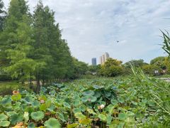 -金银湖国家城市湿地公园