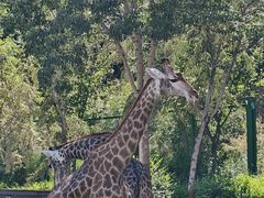 -水上乐园·欢乐世界