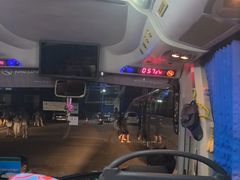 -芭提雅MAX泰拳馆
