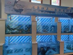 -野渡坡·极致湘菜·庭院餐厅(汉阳店)