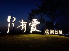 -荷兰花海