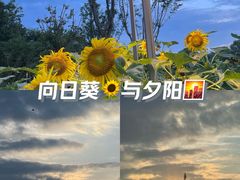 -泥巴沱风景区-毗河绿道