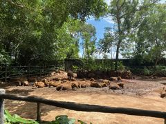 -海南热带野生动植物园