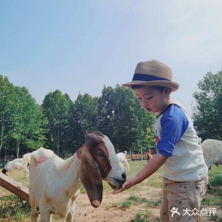 实用tips：江宁美丽乡村