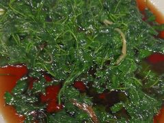 -望乡楼上海菜(日月光店)