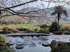 -中国茶叶博物馆(双峰馆区)