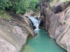 -广州白江湖森林公园