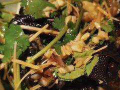 -虾胡闹·澳洲小龙虾·烧烤(福田鲨鱼店)