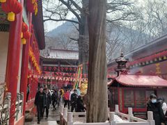 -天门寺