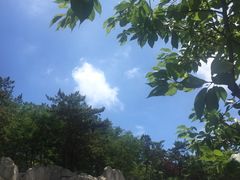 -浮山香苑