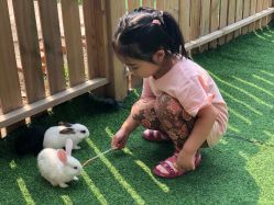 -萌宠亲子动物乐园(槐房万达店)