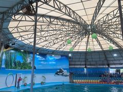 -尼莫海豚馆