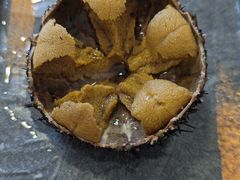 -海胆小馆(东北水饺·春柳店)