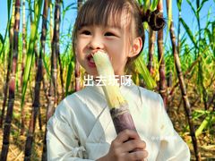 -汉长安城未央宫国家考古遗址公园