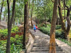 -火炉山森林公园