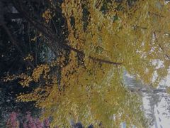 -浙江工业大学（朝晖校区）-游泳馆