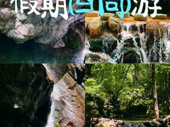 -牛背梁国家森林公园