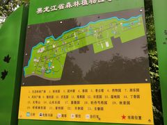 -黑龙江省森林植物园