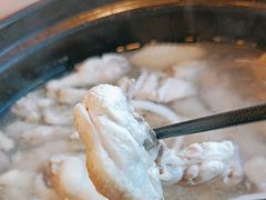 珍珠马蹄文昌鸡-烹然四季椰子鸡火锅(团结湖总店)