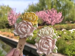 -洛阳市隋唐城遗址植物园